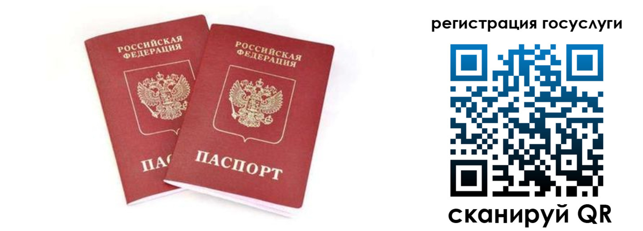 прописка в квартире в Заринске